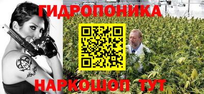 шишки Краснокаменск
