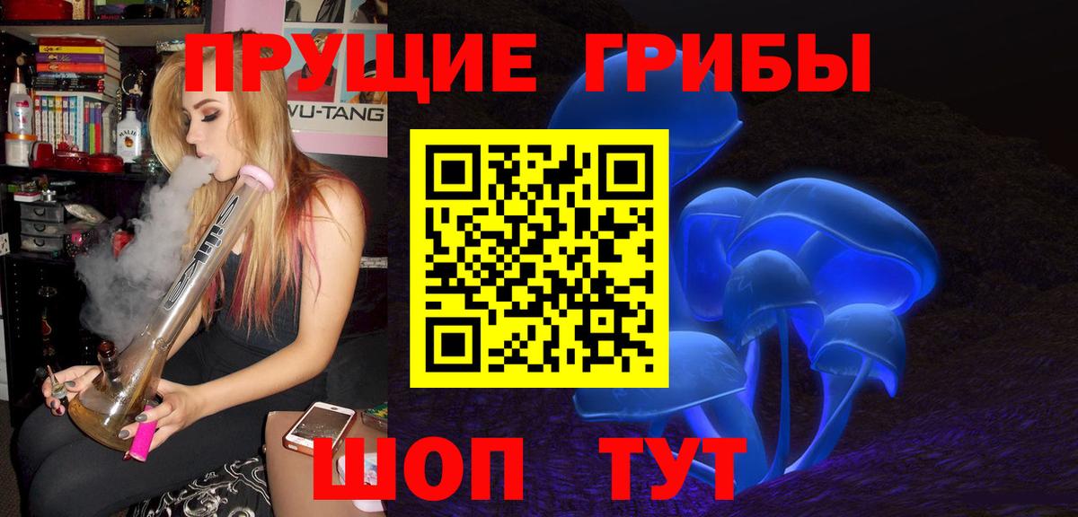 Гатчина  Галлюциногенные грибы мухоморы  Вход с VPN 